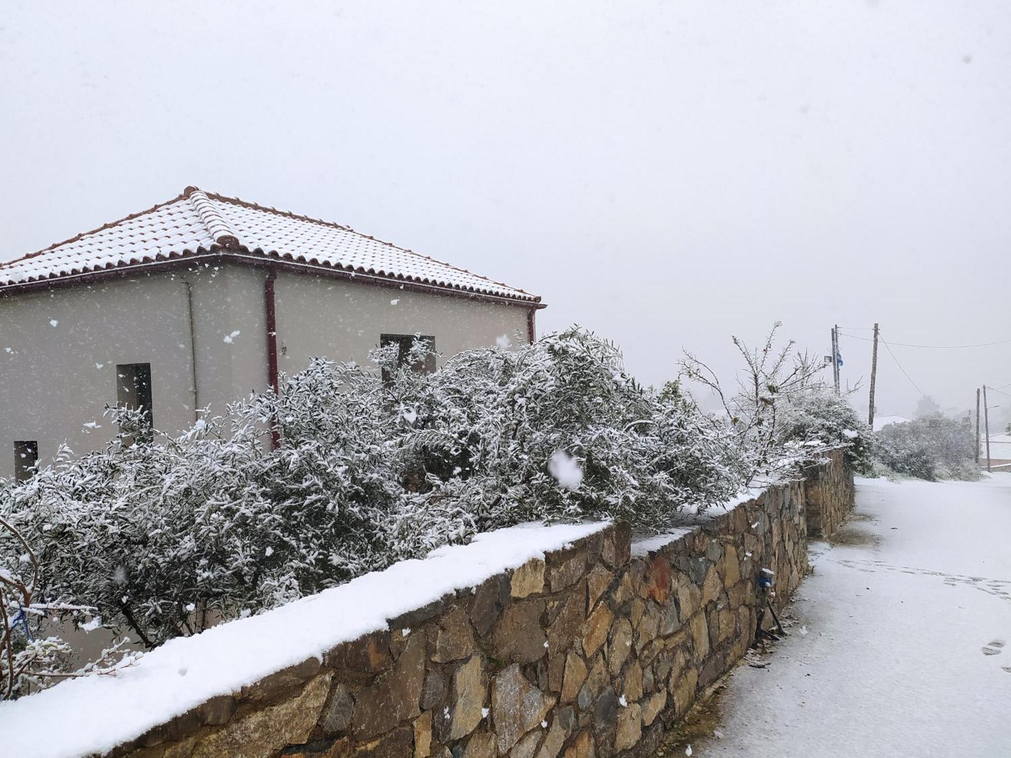 "Villa Kastania" Melidoni, Chania, Crete Εξωτερικό φωτογραφία